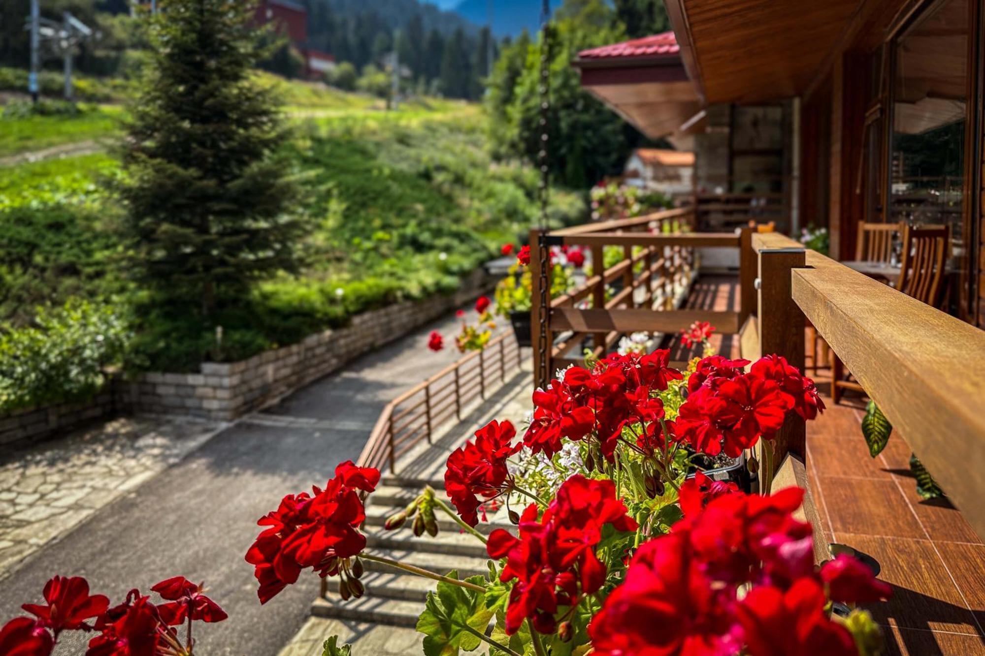 Musala Hotel Borovets Exterior photo
